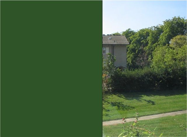 Farbfolie Grün matt