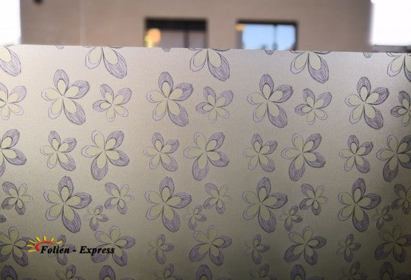 Sichtschutzfolie C46