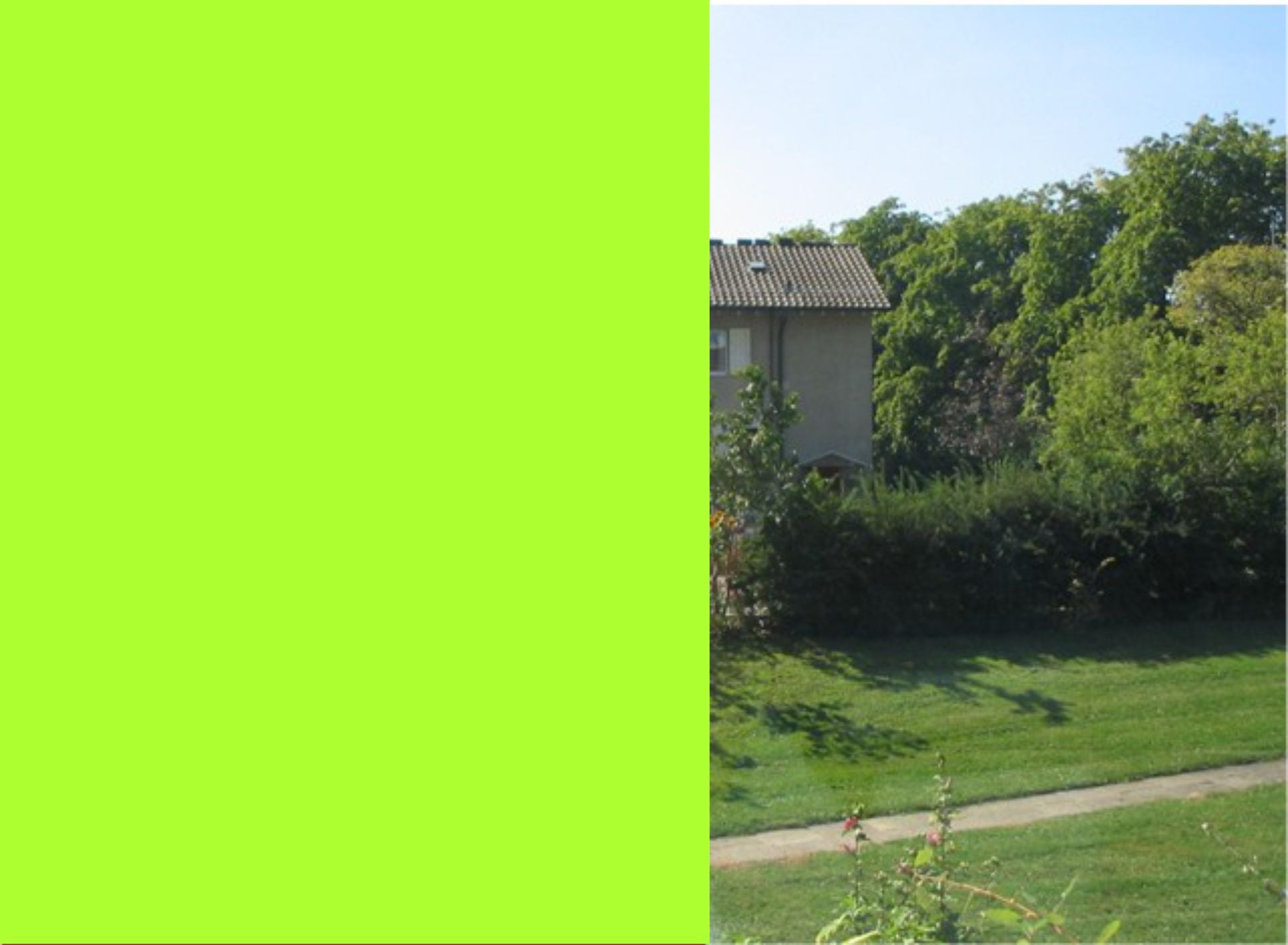 Farbfolie Greenyellow