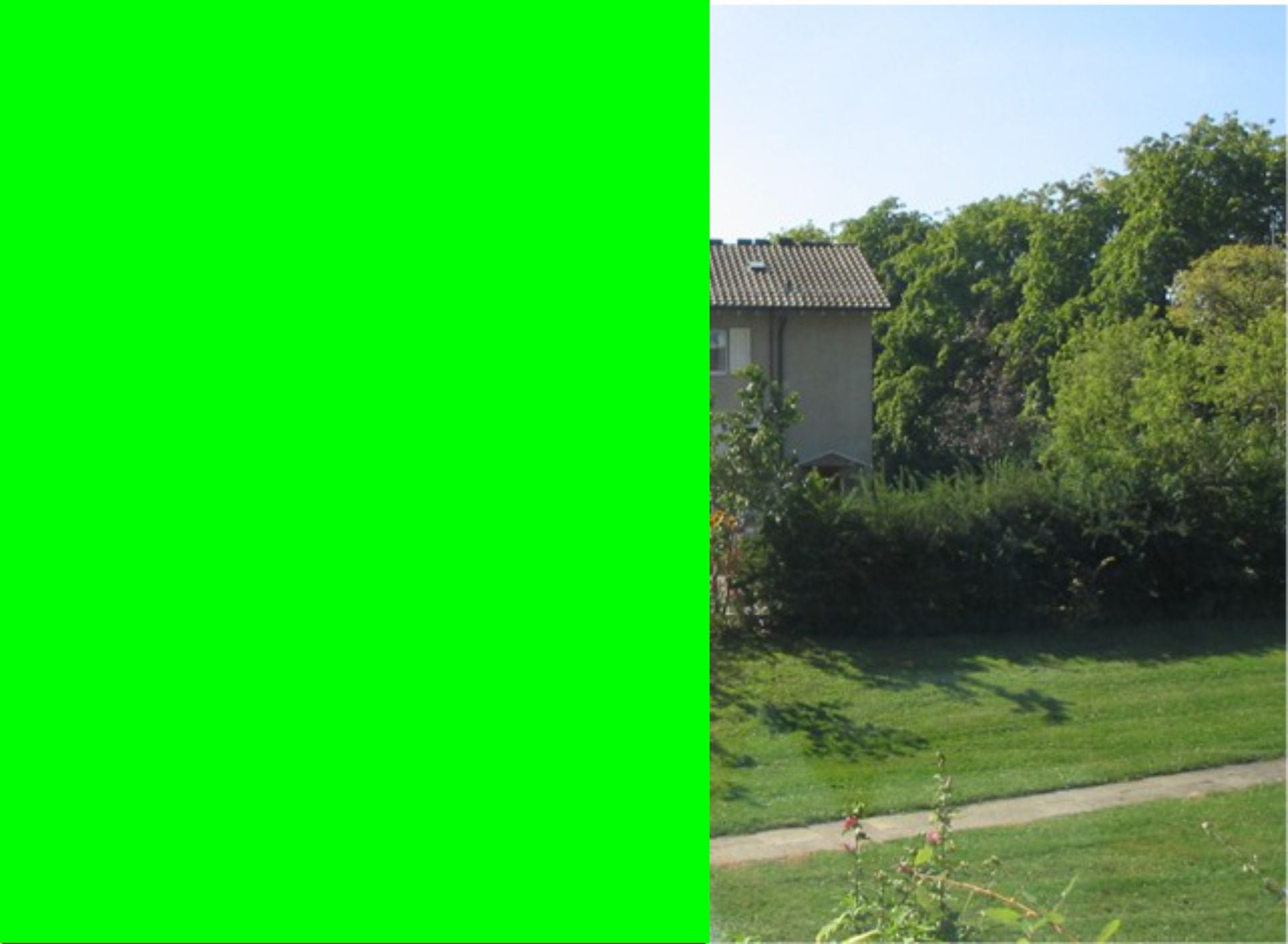 Farbfolie Lime