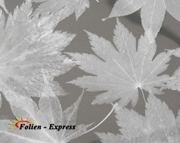 Sichtschutzfolie B42M16