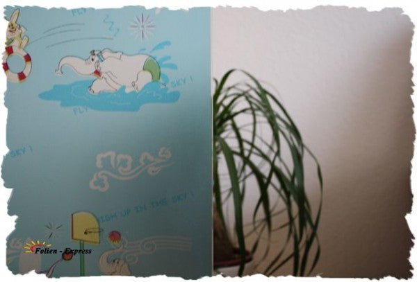 Sichtschutzfolie B42M21