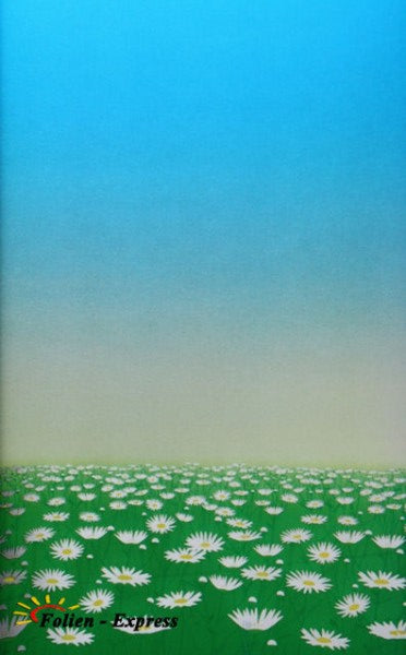 Sichtschutzfolie B42M22