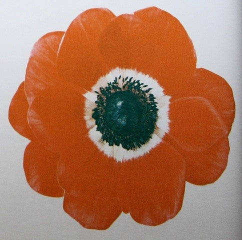 Sichtschutzfolie B42M24