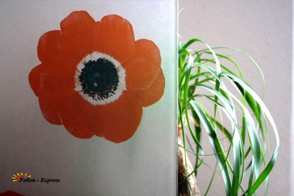 Sichtschutzfolie B42M24