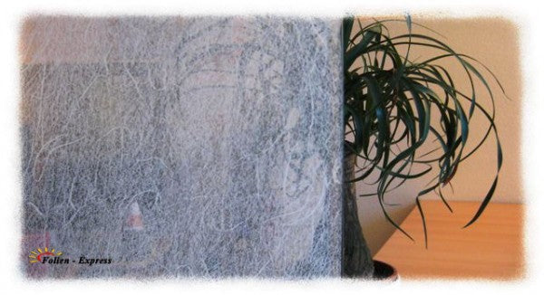 Sichtschutzfolie B44M0