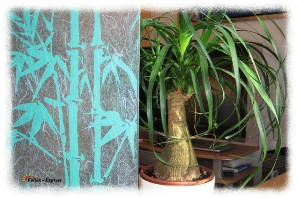 Sichtschutzfolie B44M5