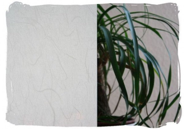 Sichtschutzfolie B44M7