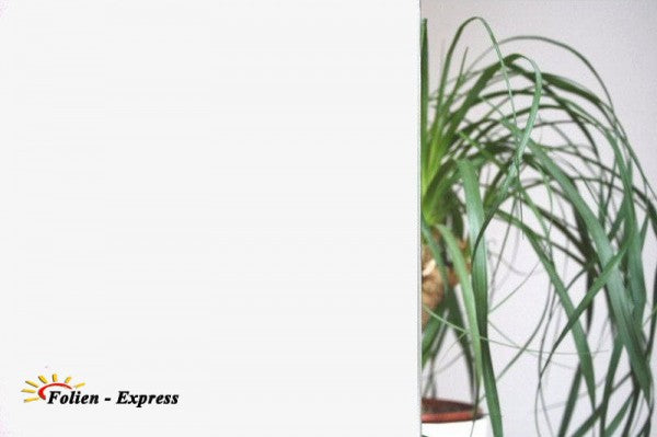 Sichtschutzfolie C92