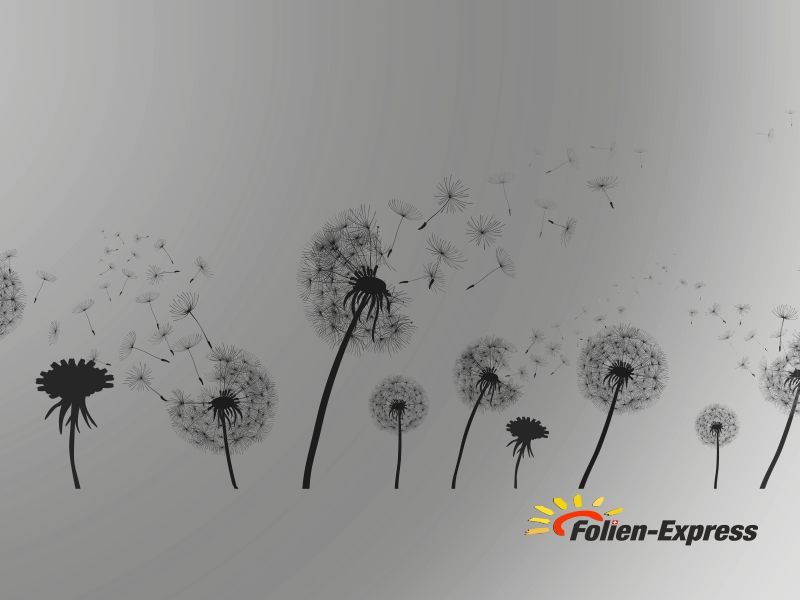 Sichtschutzfolie R-584