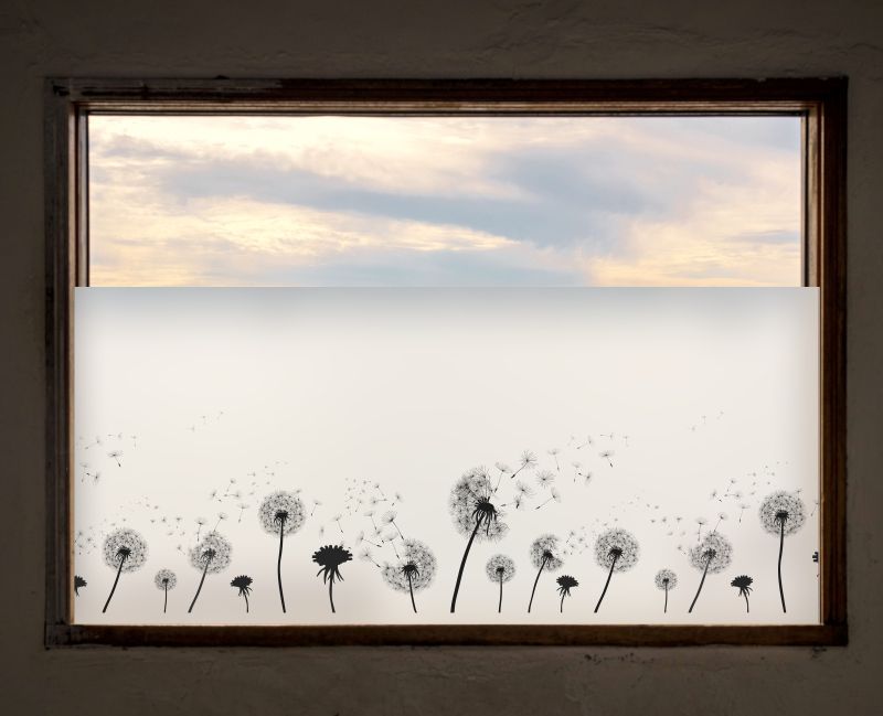 Sichtschutzfolie R-584