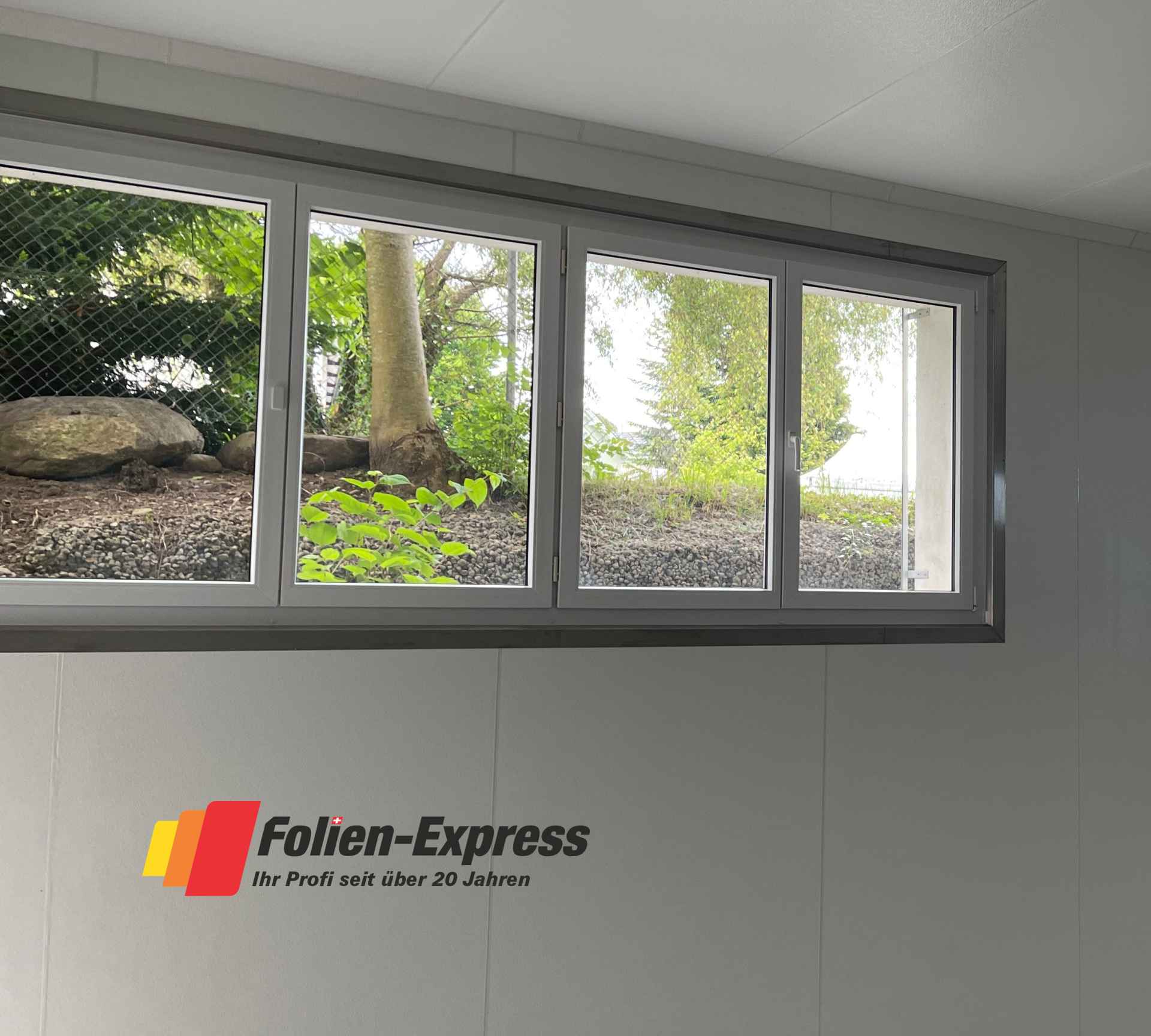 Splitterschutzfolie B50