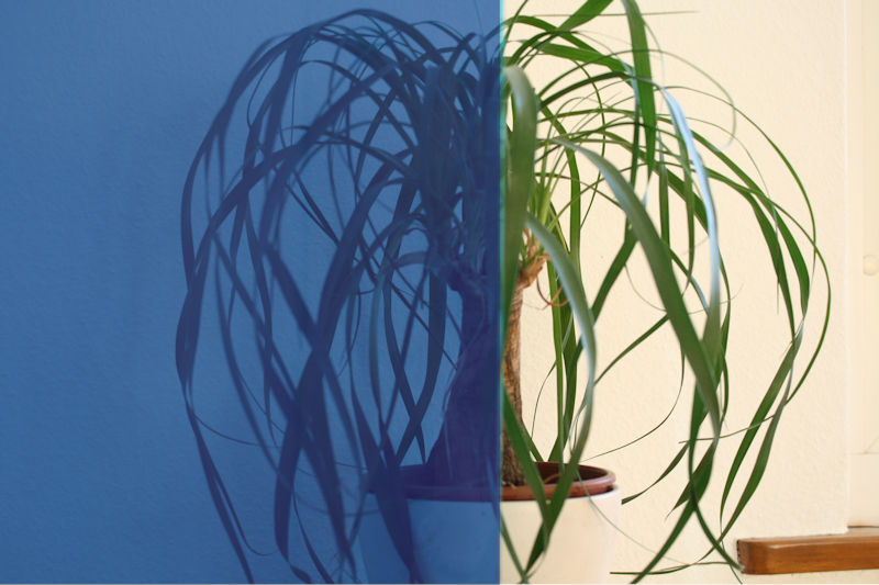 Gratis halbtransparente Blaue Folie